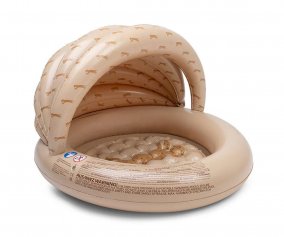Piscine Gonflable avec Auvent Roamer