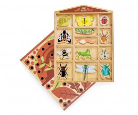 L'htel des Insectes
