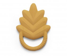 Dentarello Caucci Chanterelle Yellow