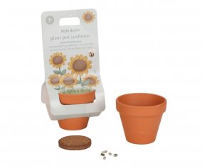 Maceta Planta Girasol