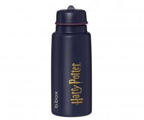 Botella Trmica con Boquilla Plegable y Asa 1L Harry Potter