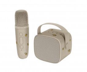 Altavoz Bluetooth y Karaoke Lemon